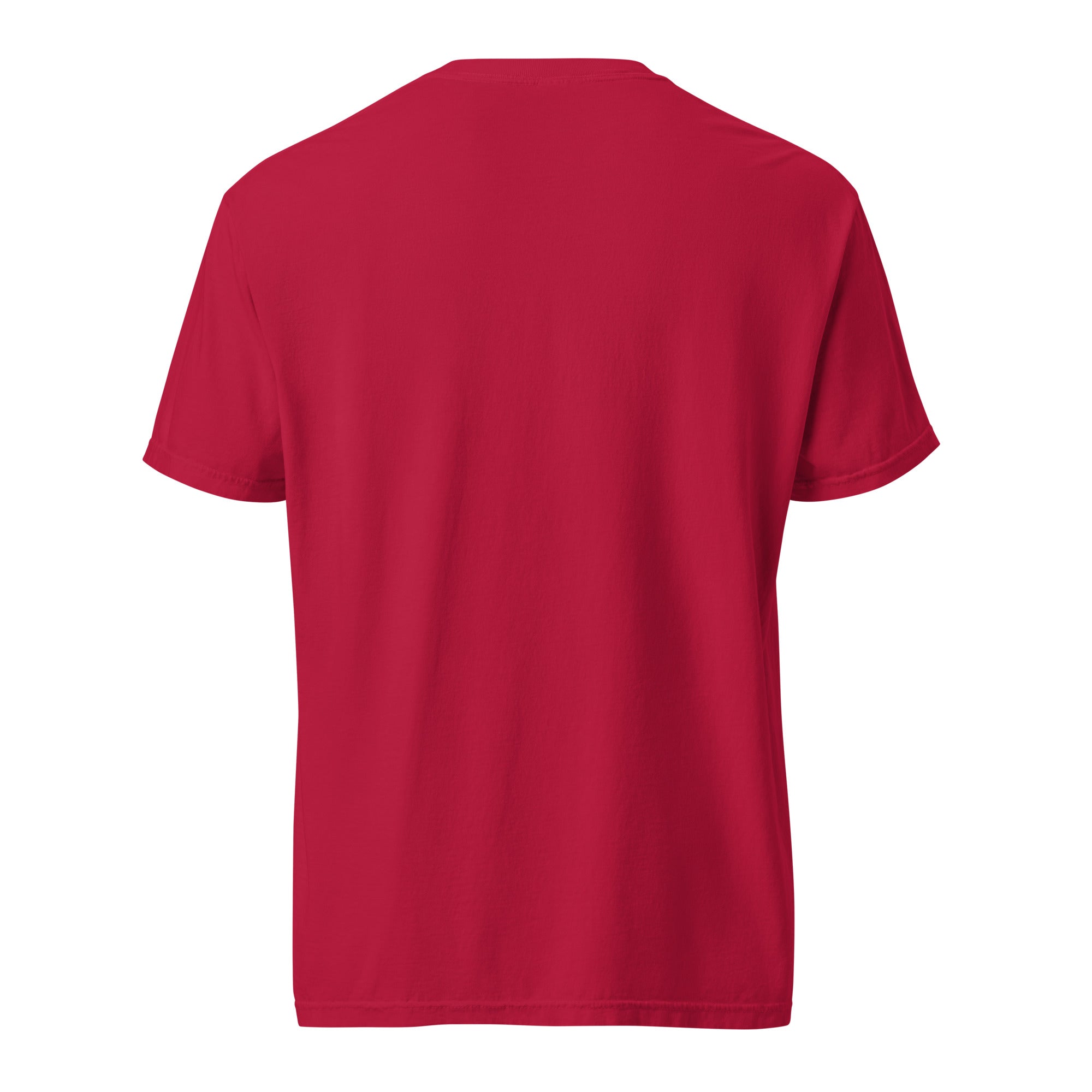 10 Year Anniversary Summer Collection Comfort Colors Tee - Red - SOARescue